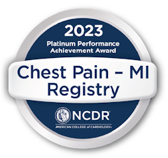 2023 Platinum Performance Achievement Award